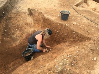 Excavation in Sherwood Forest