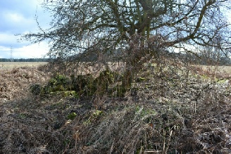 The remains of Clipstone Peel