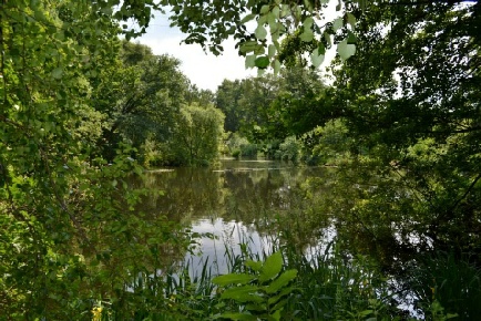 Spa Ponds Medieval Clipstone Peel Sherwood Forest