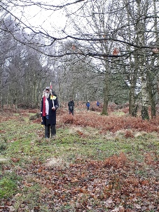 Linear Bank on Budby South Forest - Archaeology in Sherwood Forest