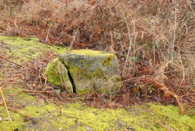 The Birklands Forest Stone Thynghowe