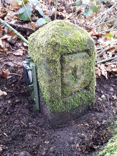Edwinstowe Boundary Stone, Birklands Wood - Archaeology in Sherwood Forest