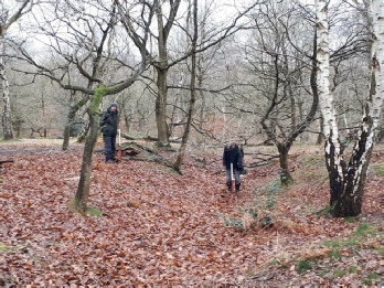 Medieval holloway, Birklands Wood - Archaeology in Sherwood Forest